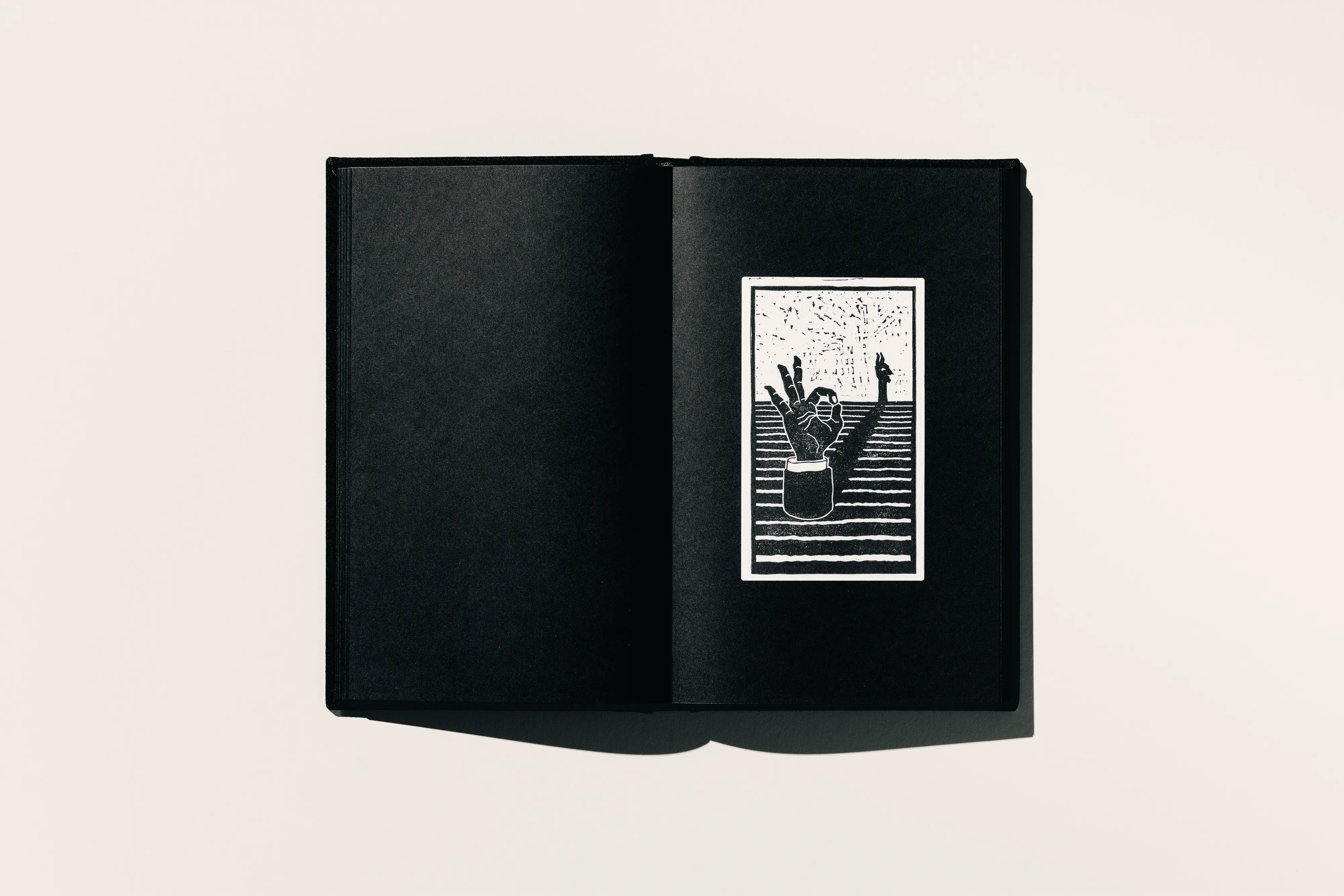 Reality is Magic Collector's Edition