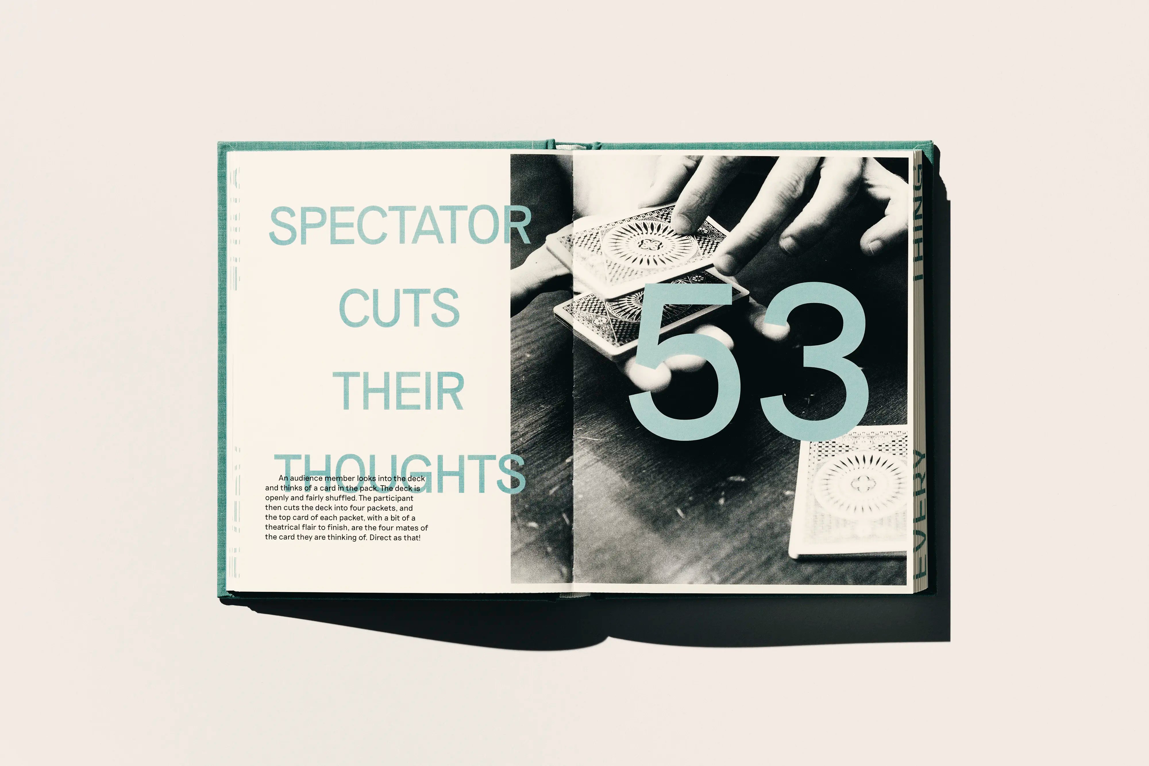 Missing Almost Every Thing Collector's Edition