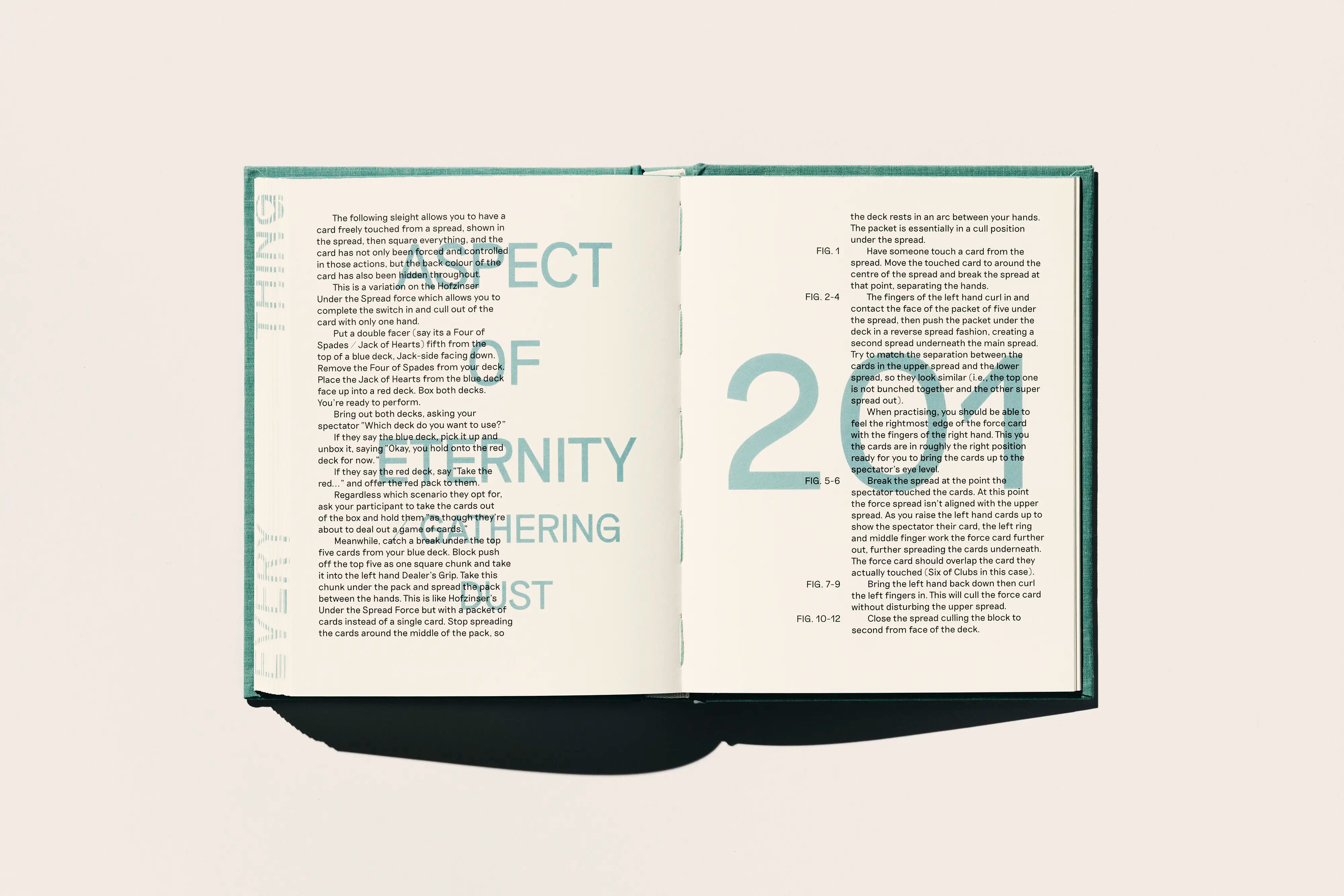 Missing Almost Every Thing Collector's Edition